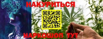 трава Гатчина