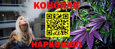 трава Гатчина