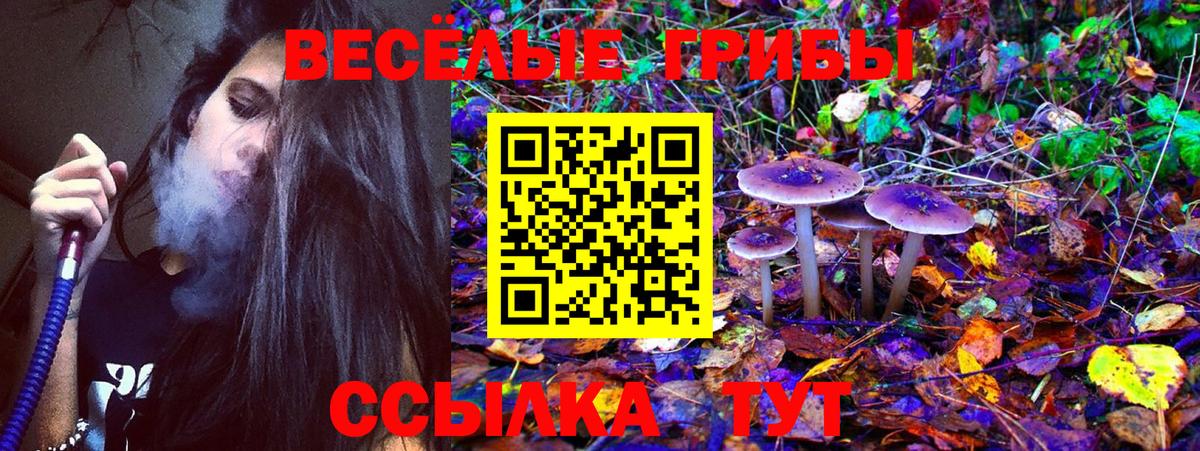 Галлюциногенные грибы Cubensis Павлово