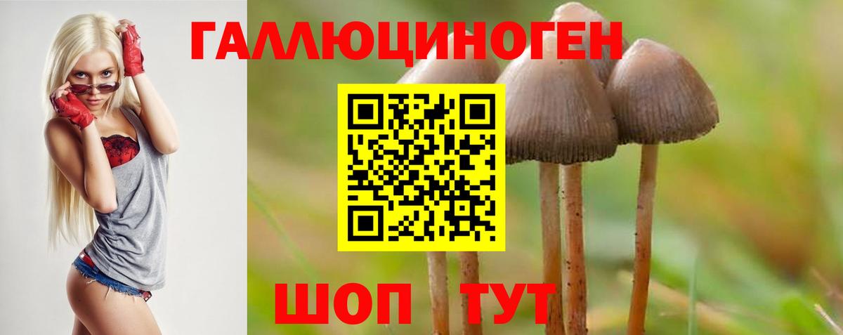 наркота  Псилоцибиновые грибы Psilocybe  Вход с VPN  Павлово 